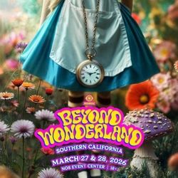 Beyond Wonderland 