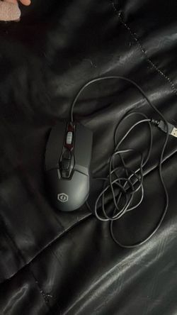 Mouse