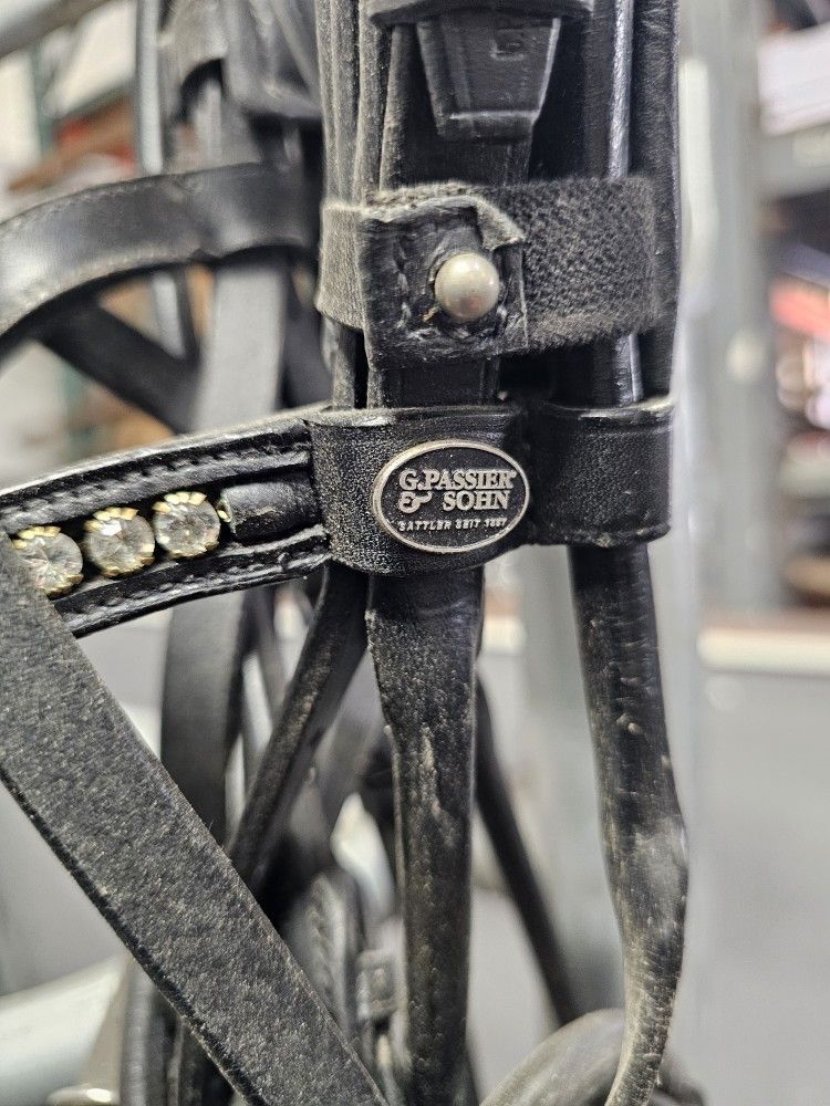 Paasier Dressage Full Bridle Warmblood 