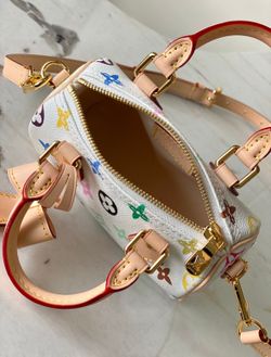 Louis Vuitton Multicolore Speedy Nano