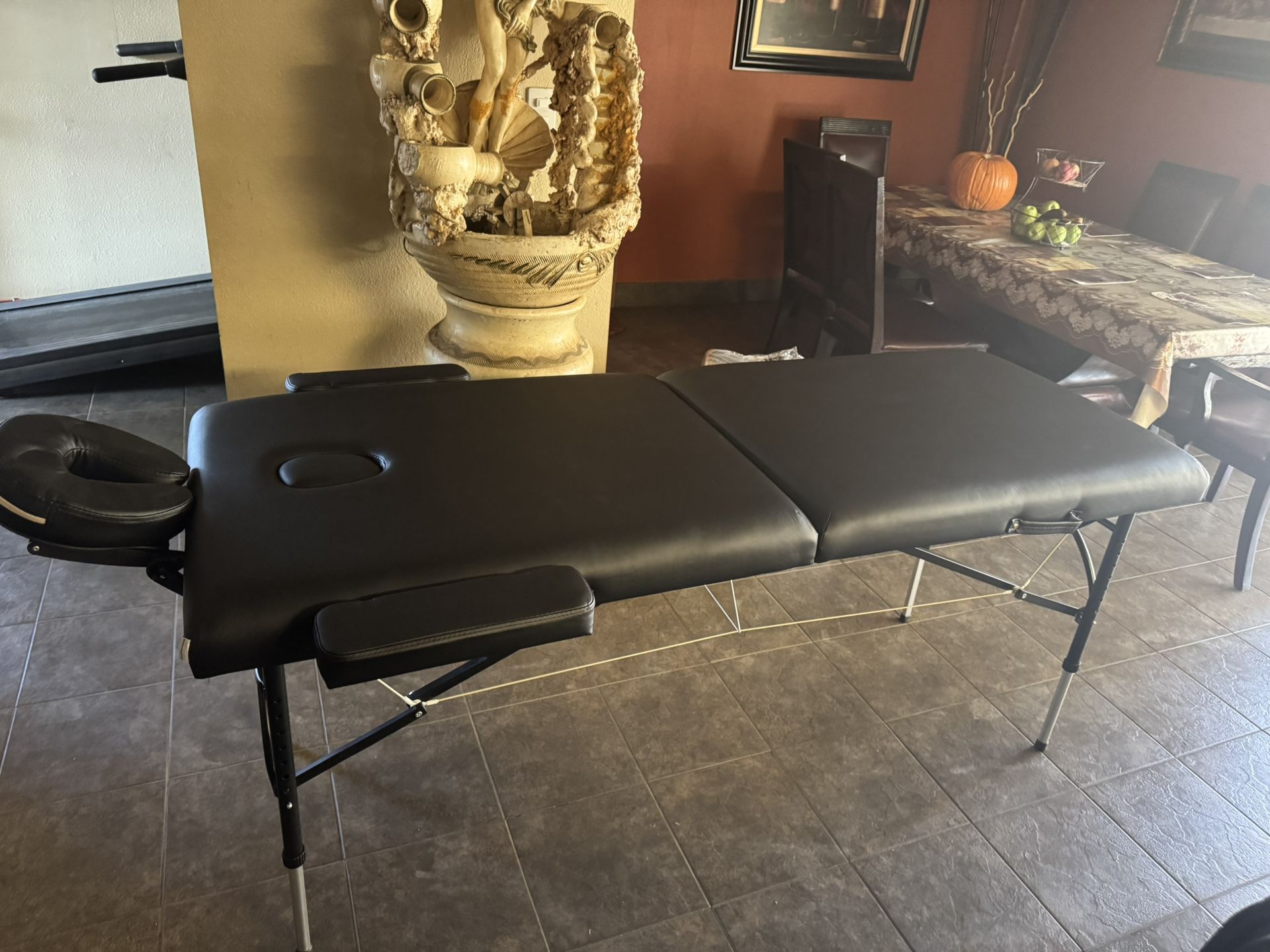 Saloniture Lash/Massage Bed