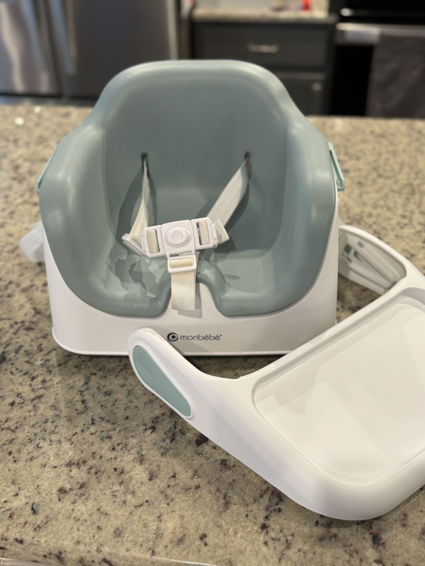 Baby 2 N 1 Booster Feeder