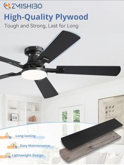 ZMISHIBO 52 inch Ceiling fan