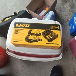 DeWalt 20 V Max Starter Kit 