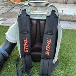 Still Blower, Lawn Mower and 5 Gallons.