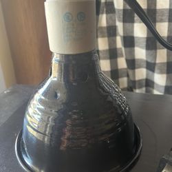 Reptile Lighting Holder