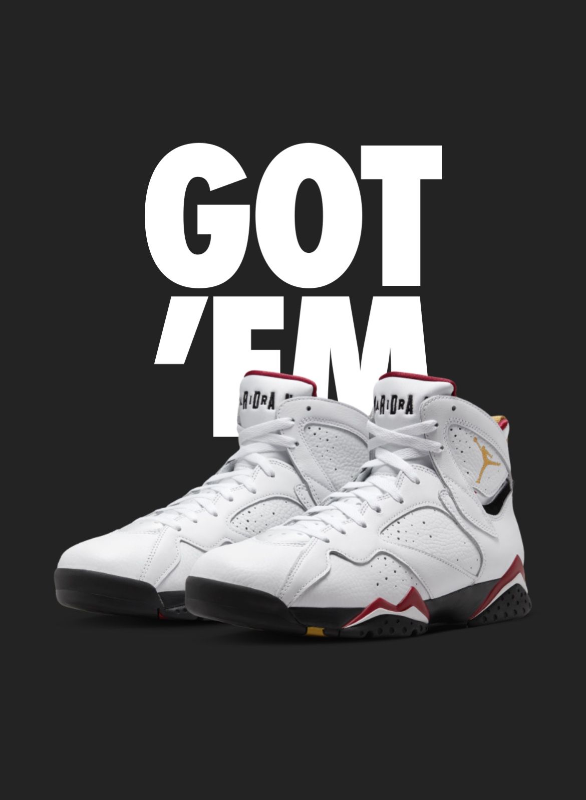 Air jordan 7s