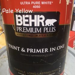 Paint