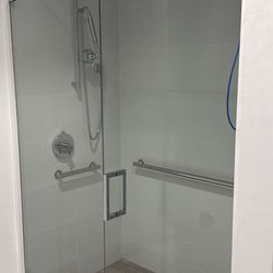 Shower door and panel