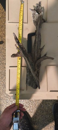 Fish tank driftwood