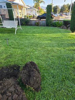 Irrigation Valves