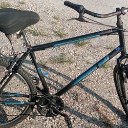 Diamondback Wildwood 7-speed