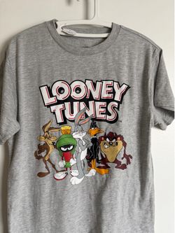 Looney Tunes Character Group  Crew Neck Short Sleeve Men’s Gray Shirt