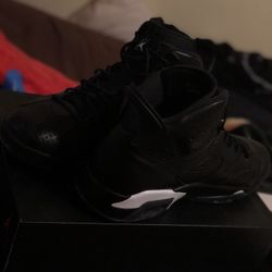 Air Jordan retro 6 (black cat)