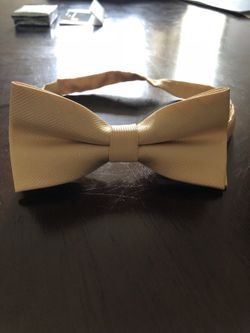 Adorable Bow-Tie for Dog