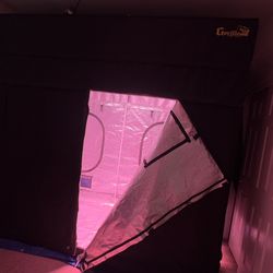 Indoor Gardening Setup