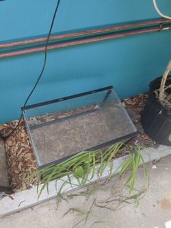 Fish & Reptile Tanks