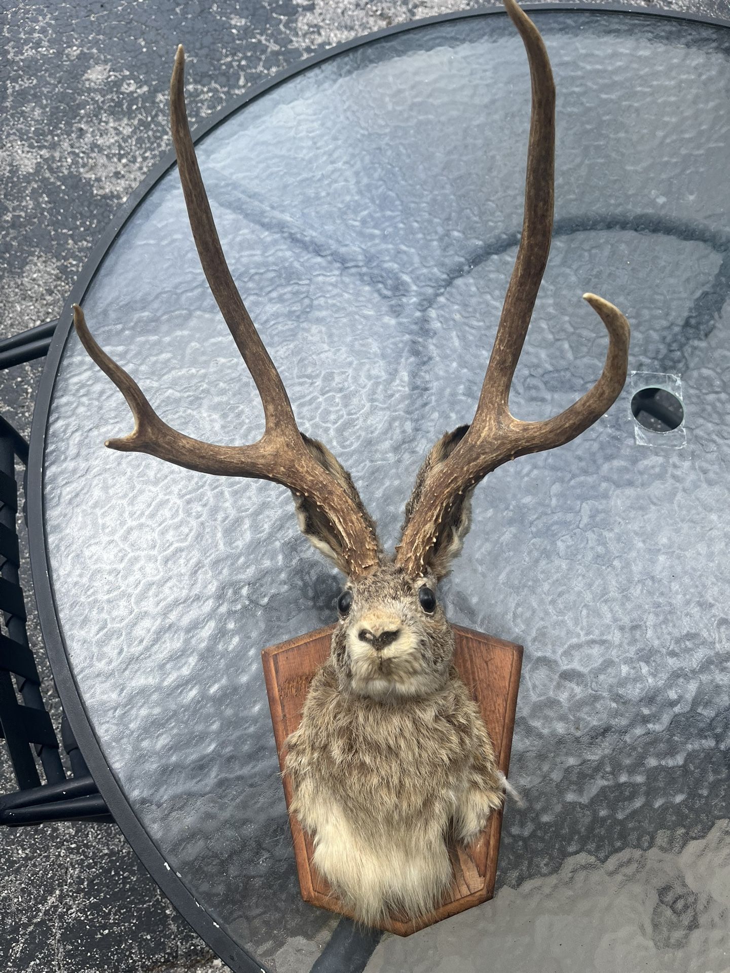 Wall Hanging