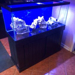 75 gallon fish tank stand LED light