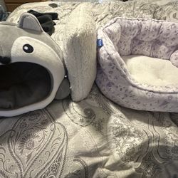 Pets Bed 