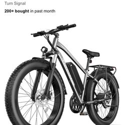 frunghung e-bike 25 mph used 