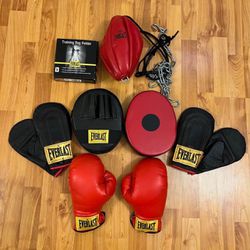 Set EVERLAST of punching bag, boxing gloves, punching, gloves, fasteners for the punching bag