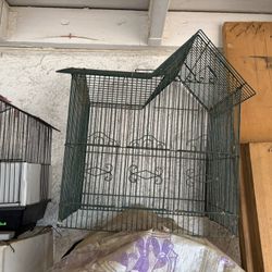 Bird Cages 