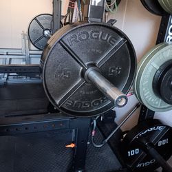 Rogue 45lb Deep Dish Olympic Plates With 45lb 7' Olympic Barbell 