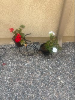 Planter Bike with Grtaniums