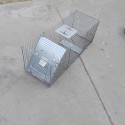 Animal Trap