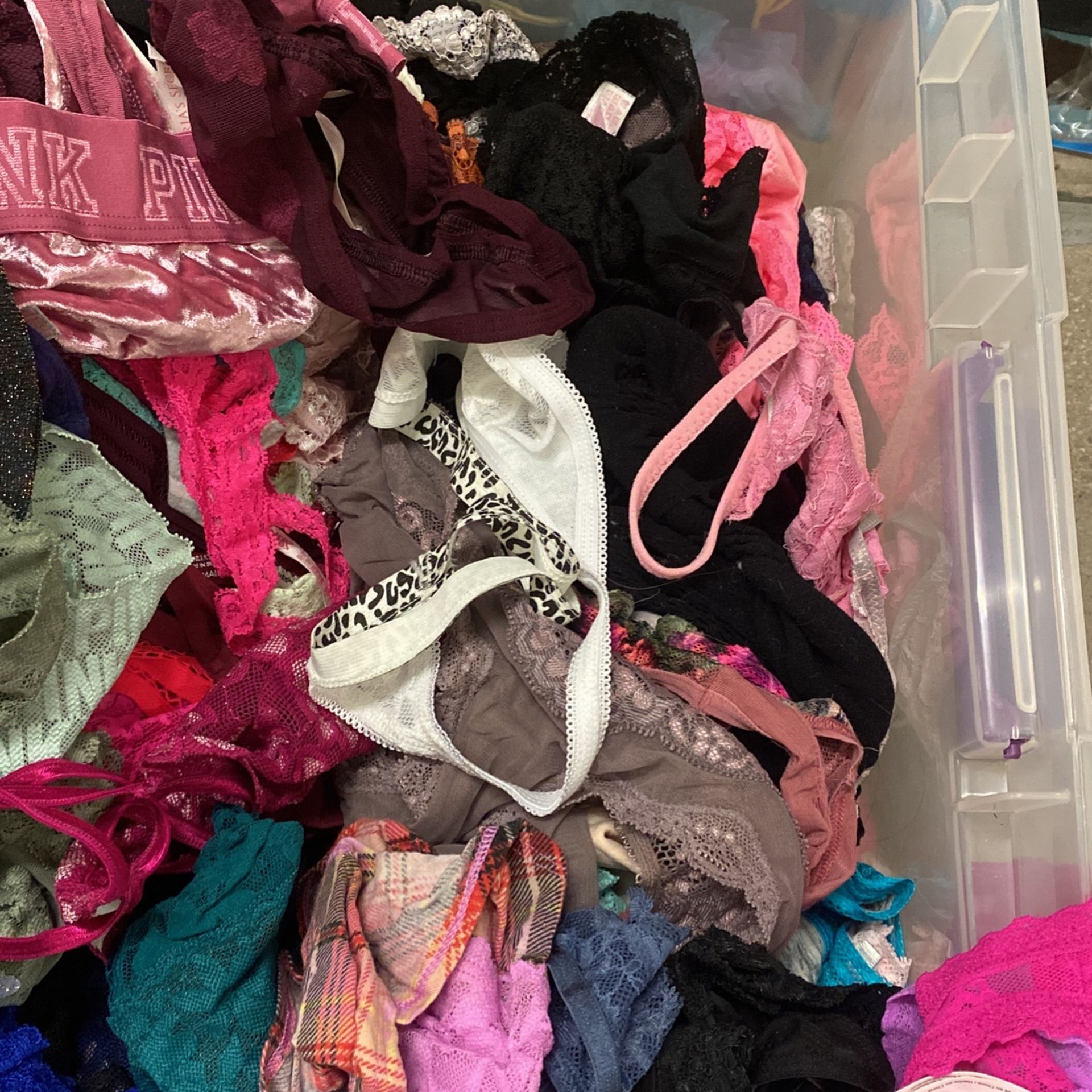 Panties