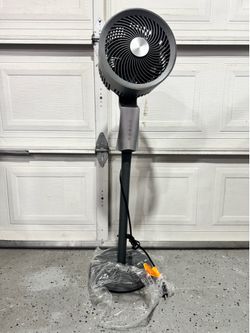 Circulator fan!