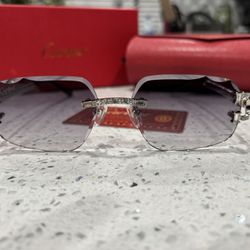 Cartier Sunglasses 