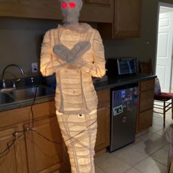 Halloween Mummy