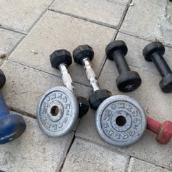 Weights 