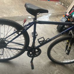 Bike / bicycle