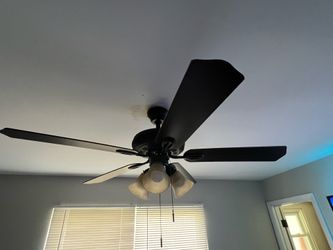 Hampton Bay Ceiling Fan