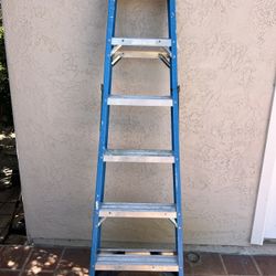 Werner Fiberglass Ladder 6 Feet 