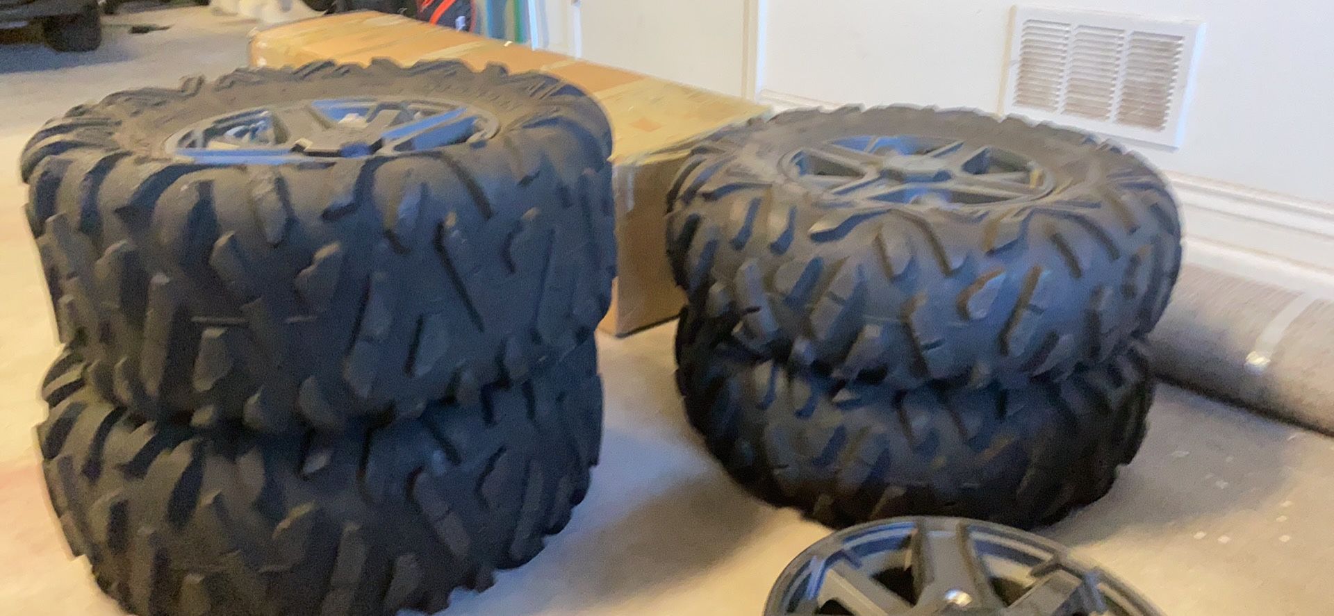 Polaris RZR Tires