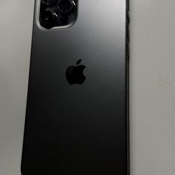 iPhone 12 PRO MAX 256GB