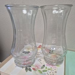 are clear glass hurricane shades designed to be used as candle holders. 