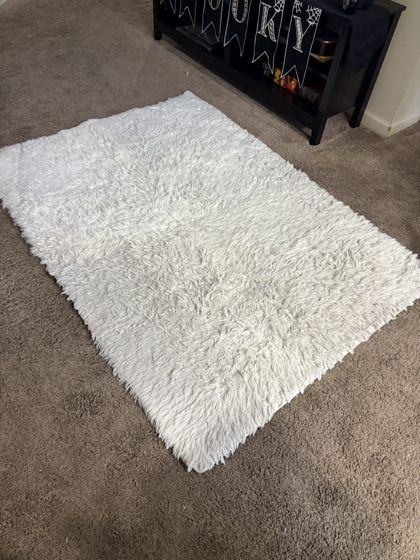 Area Rug