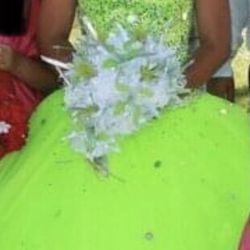 Quinceañera Dress  Vestido Para Quinceañera  Make An Offer/ Haga Una Oferta 