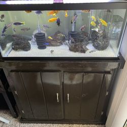 40 Gallon Aquarium With Stand 