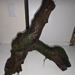 Aquarium Driftwood