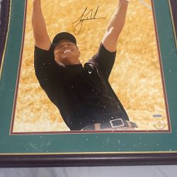 Tiger Woods Upper Deck Autographed Picture 