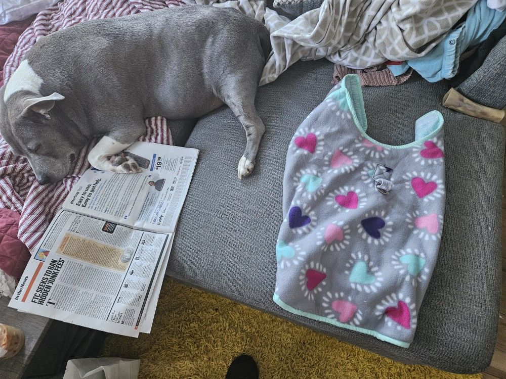 Dog Coat Handmade