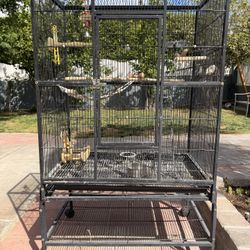 Bird Cage 