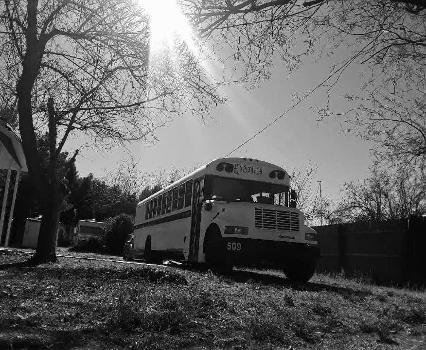 2000 International Blue Bird Bus Gutted Conversion Skoolie