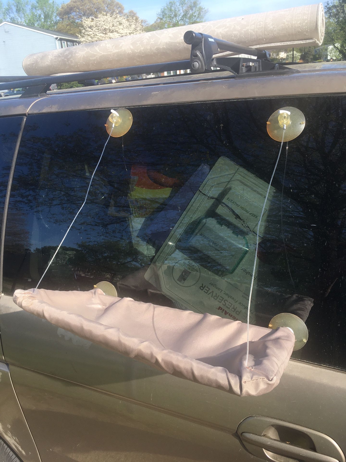 Cat Window Perch Only $15 Firm